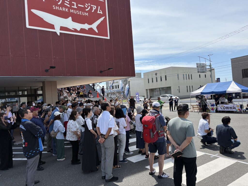 海の市イベント見学