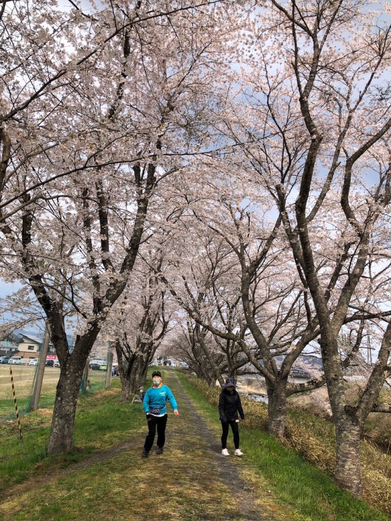 お花見パート2