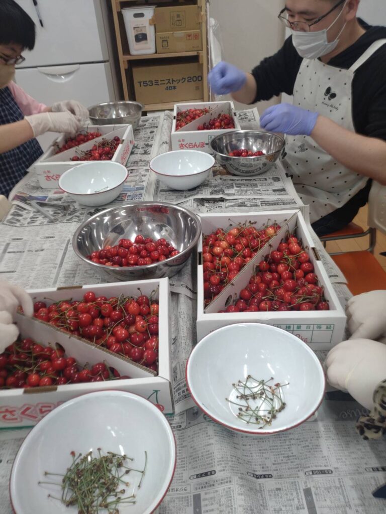 さくらんぼ🍒の季節がやってきました