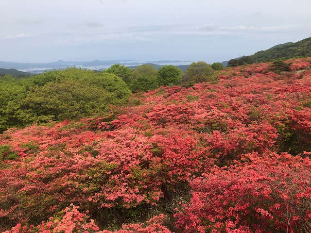 山が萌える『気仙沼徳仙丈』