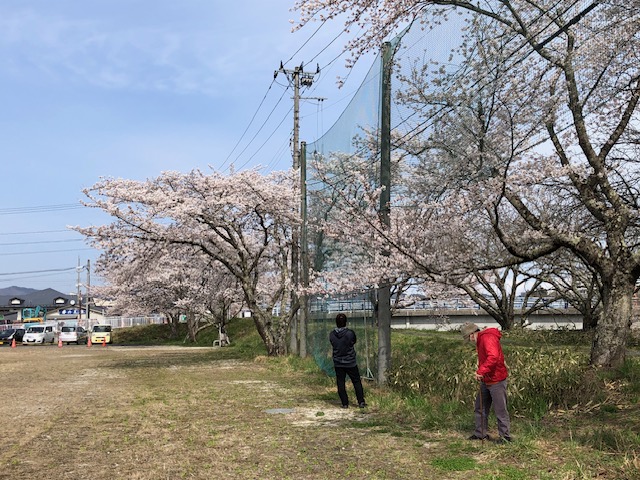 神山川のお花見🌸