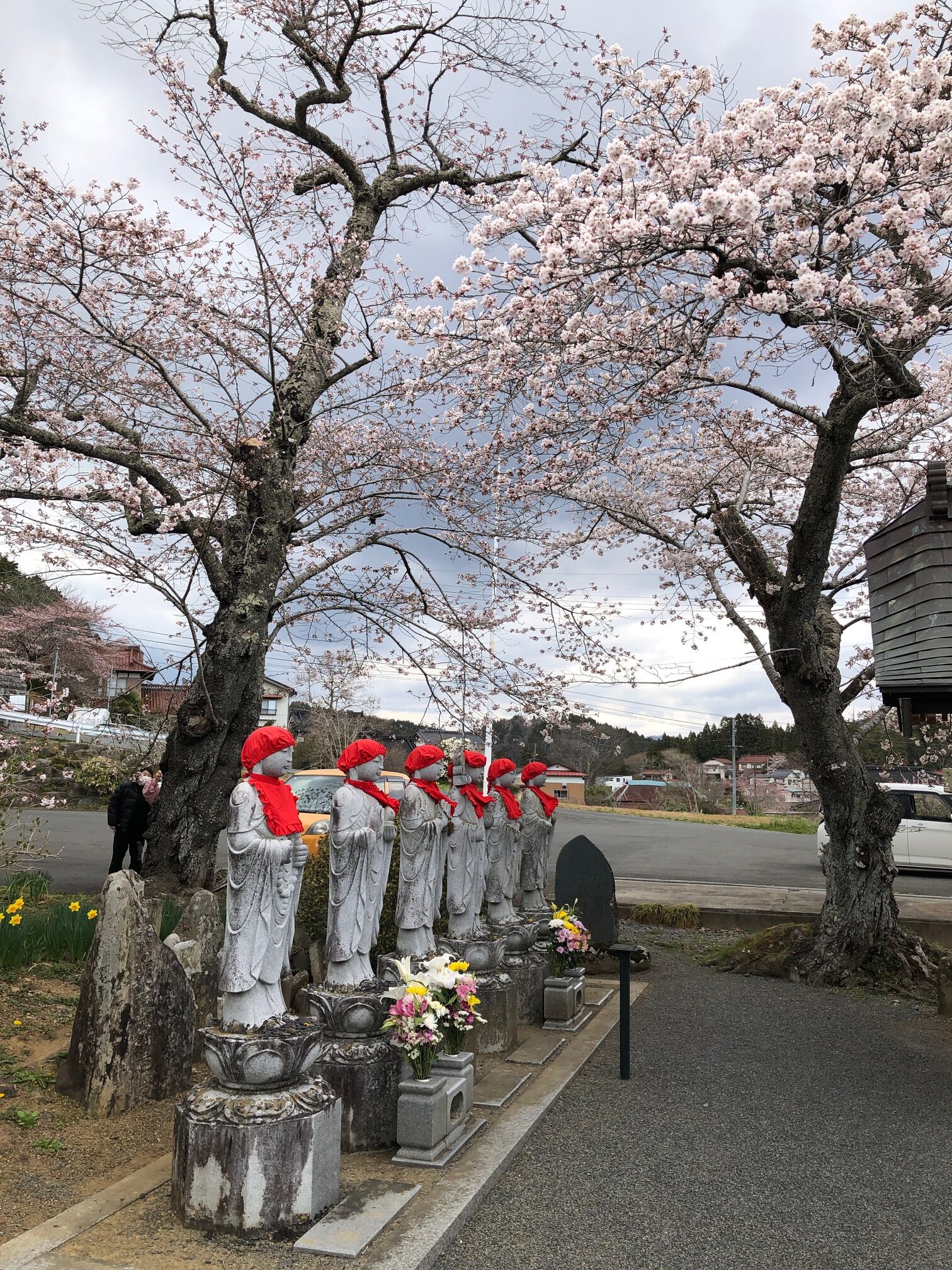 気仙沼 お花見1