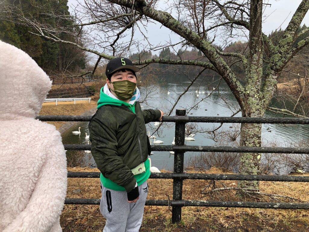 白鳥を見に行きました