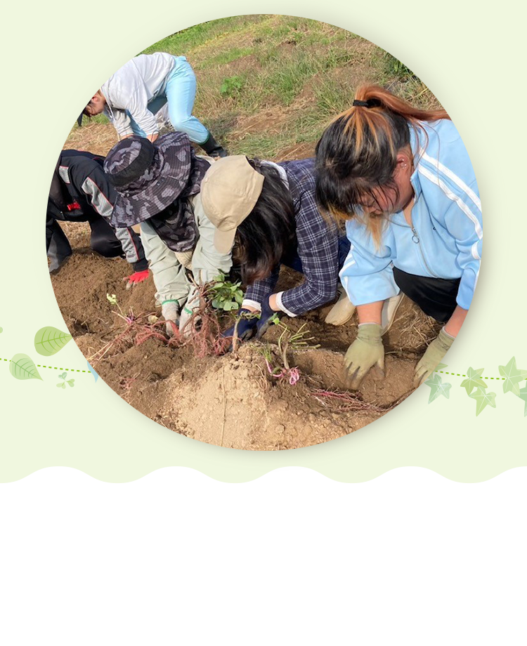 一般社団法人かもみ～る